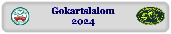 Gokartslalom2024