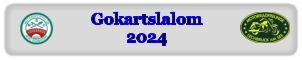 Gokartslalom2024