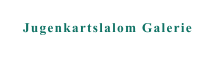 Jugenkartslalom Galerie