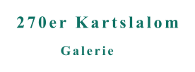 Galerie 270er Kartslalom