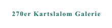 270er Kartslalom Galerie