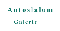 Galerie Autoslalom