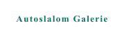 Autoslalom Galerie