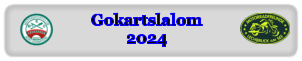 Gokartslalom2024