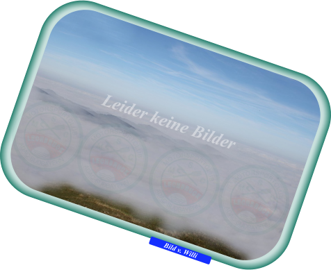 Bild v. Willi Leider keine Bilder